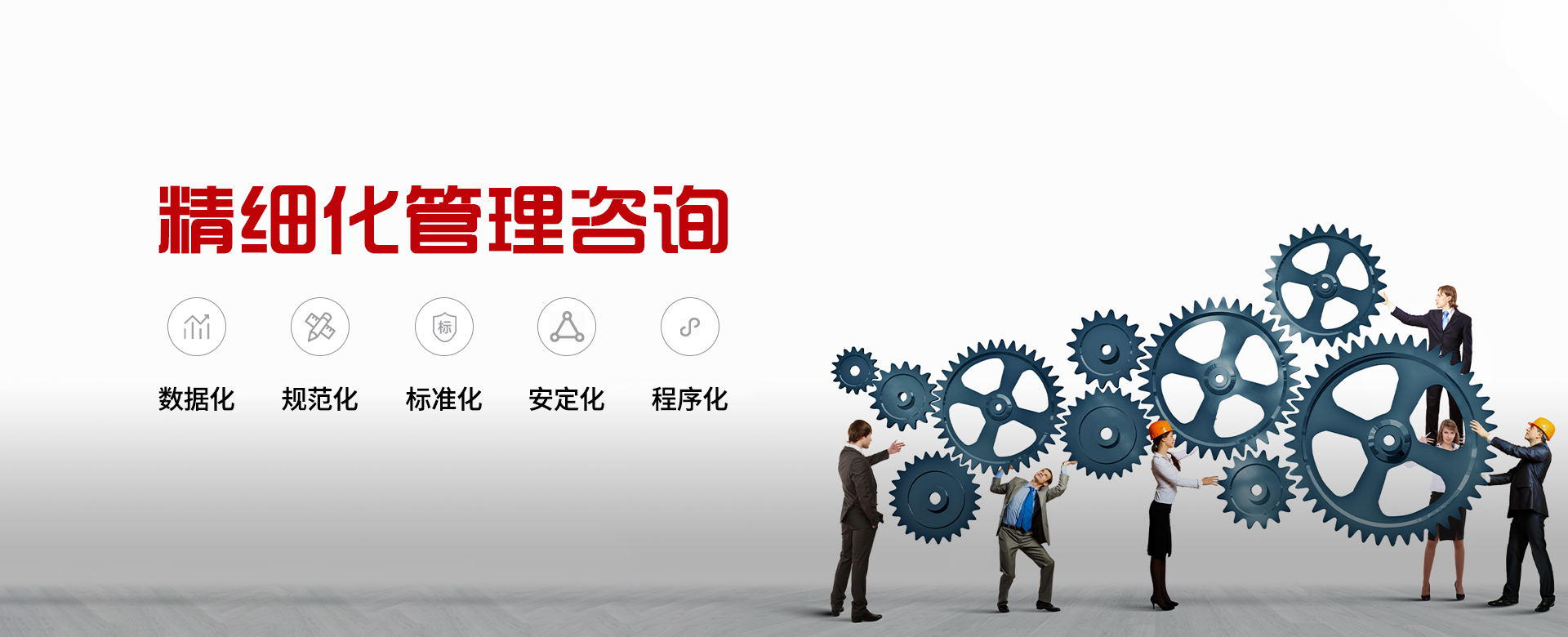 精細化企業(yè)管理咨詢